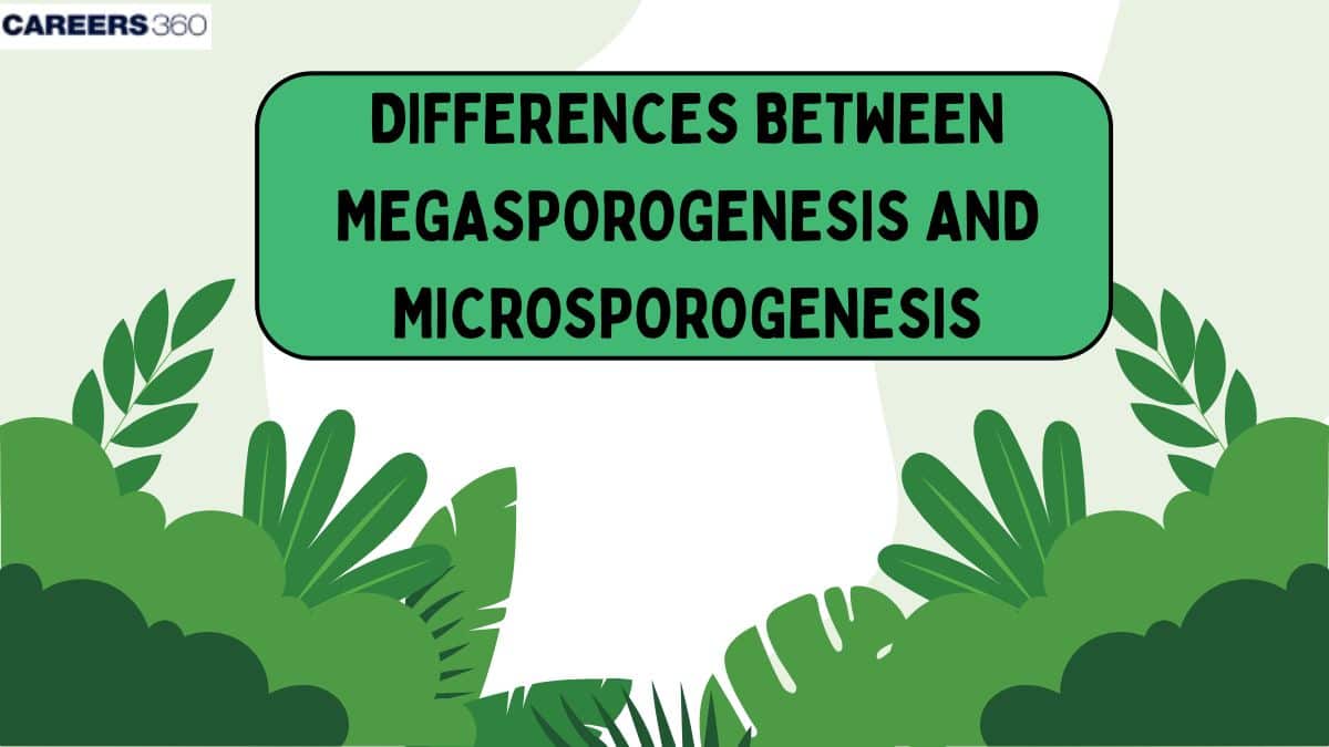 Differences Between Megasporogenesis And Microsporogenesis: Definition, Process, Types